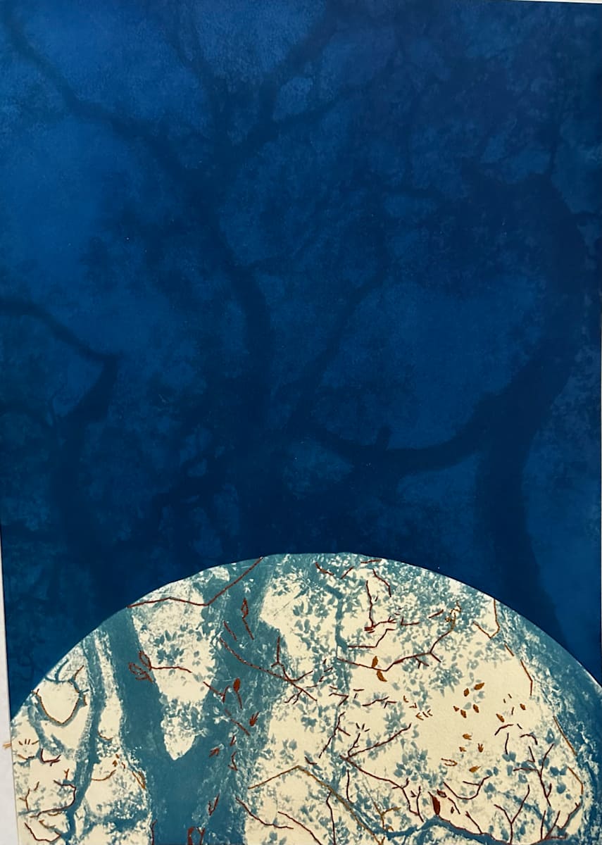 Mending Whistler, Unique by Dora Somosi  Image: Double coated cyanotype with semi circle 