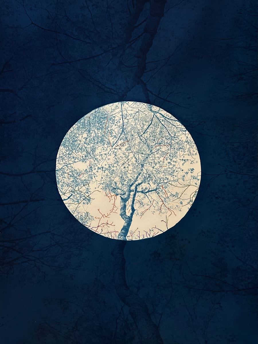 Mending Sugar, Unique by Dora Somosi  Image: double coated cyanotype with circle an hand dyed embroidery 
