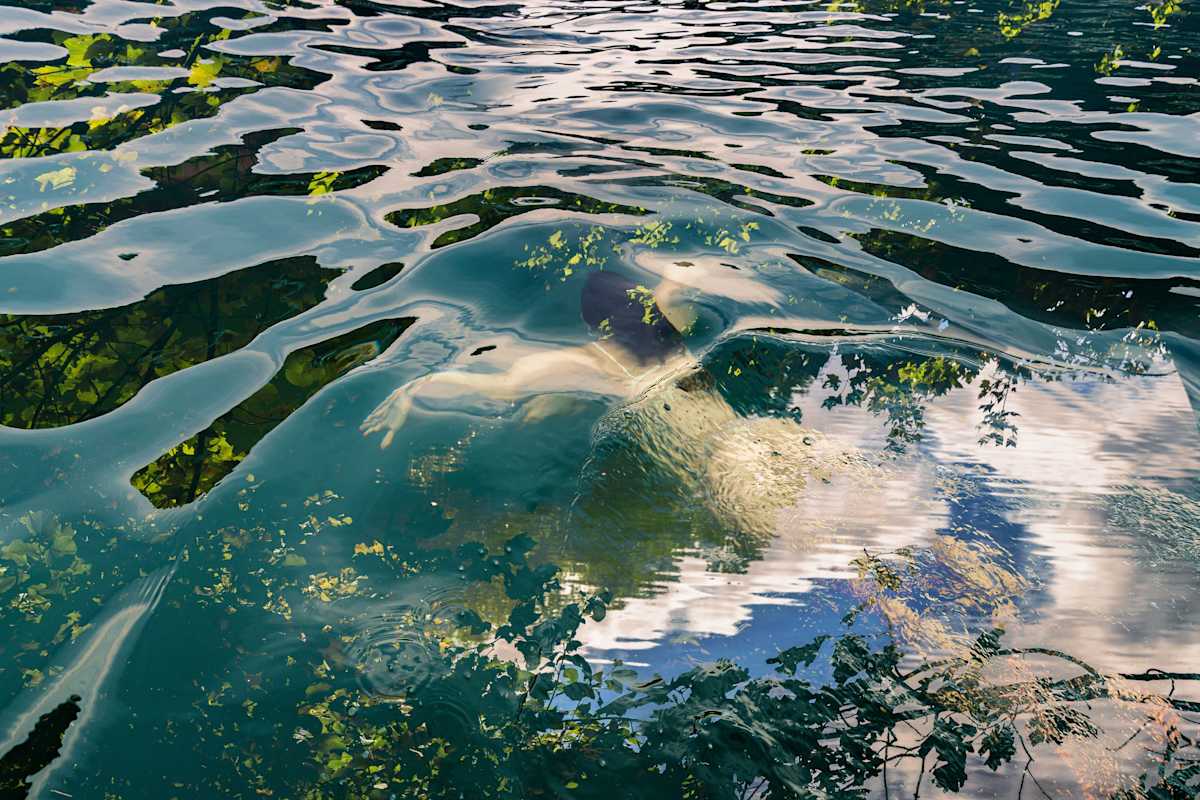 Paradiso, Lugano by Dora Somosi 