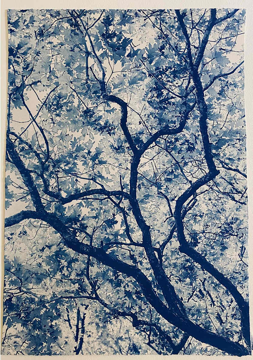 Wilma Dykeman, 26 x 38, Edition 3 of 5 by Dora Somosi 