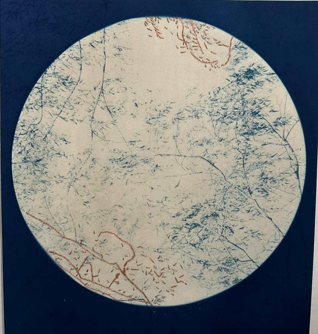 Mending Willow (2) , unique by Dora Somosi  Image: Double Coated cyanotype with circle, Madder Root dye and hand dyed embroidery 