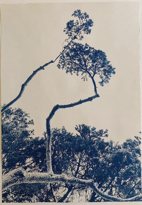 Ruth Asawa, By Her Side by Dora Somosi, Image 1.