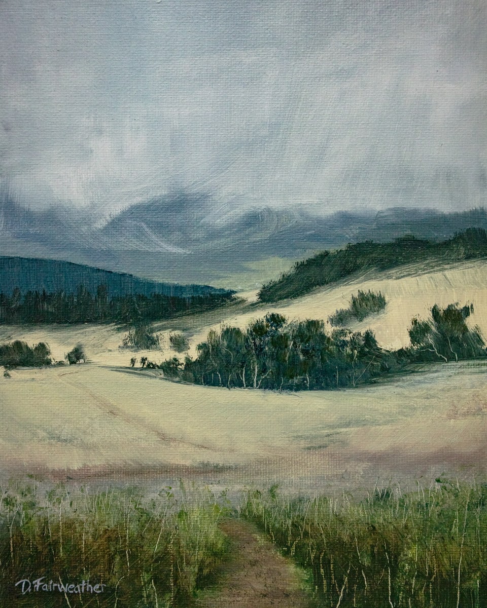 American Prairie by Dee Fairweather 