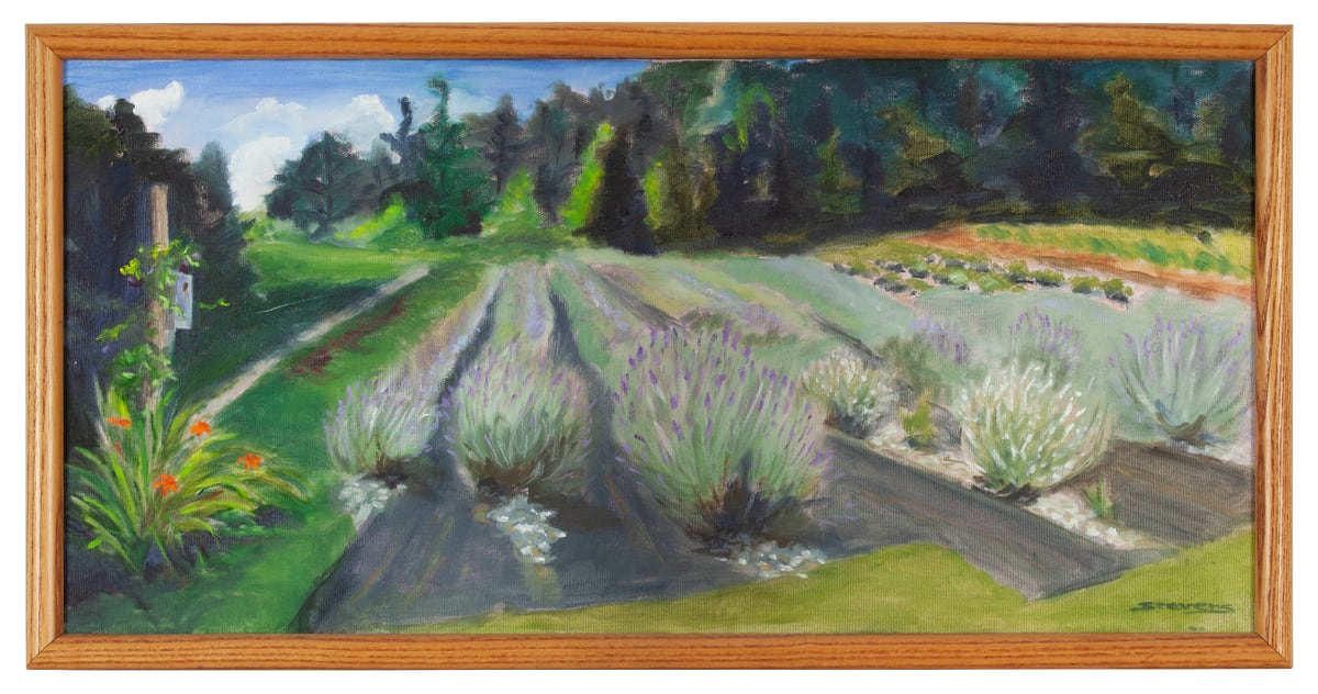 Lavender Fields by Phyllis Anna Stevens Estate 