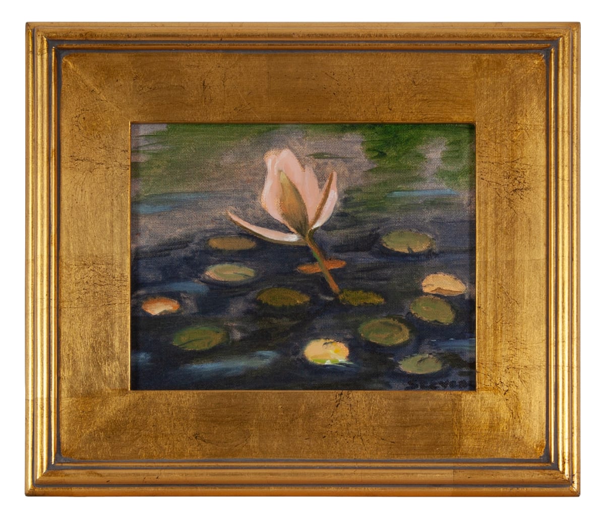 Waterlily by Phyllis Stevens 
