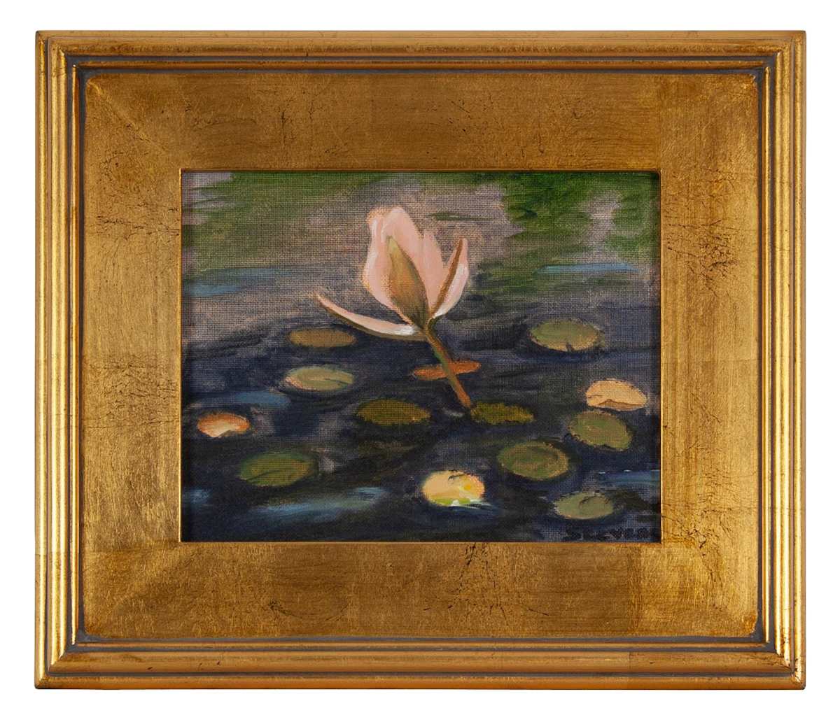 Waterlily by Phyllis Stevens, Image 1.