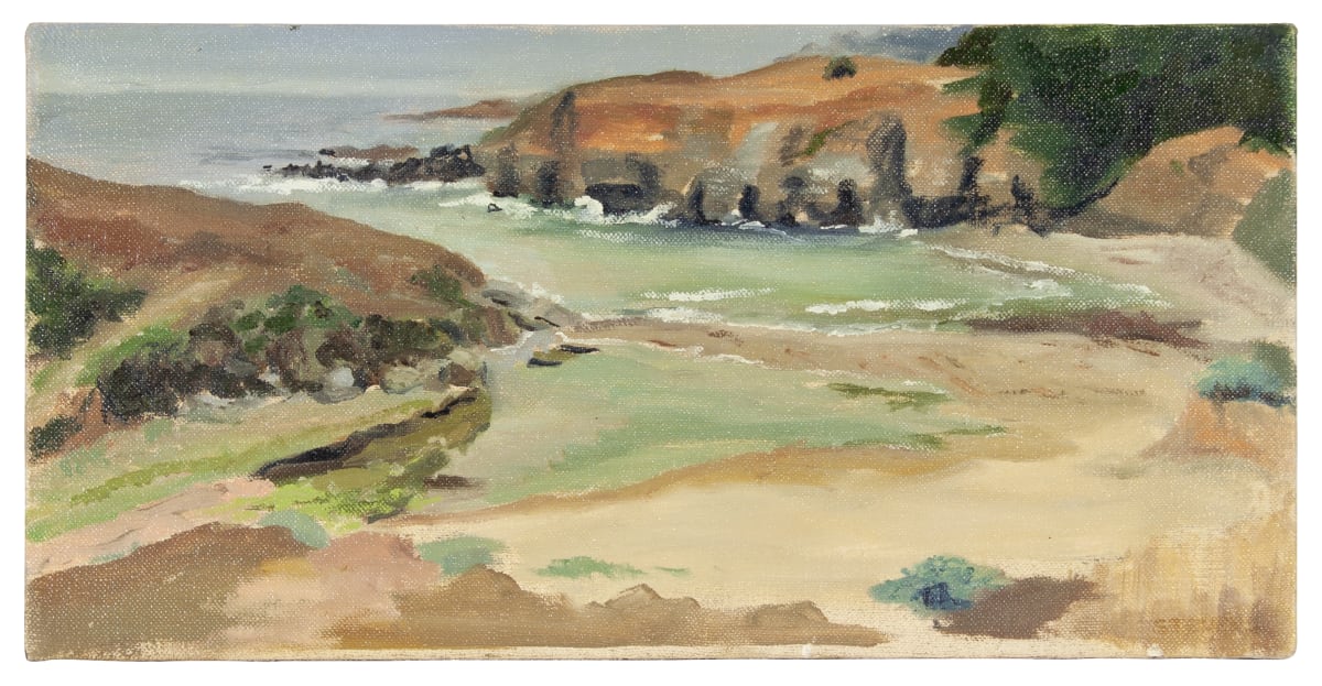 Salt Point by Phyllis Stevens 