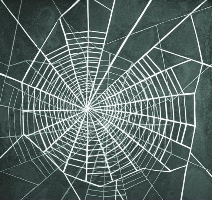 The Web by Phyllis Anna Stevens Estate  Image: This image pulled from phillisstevens.org