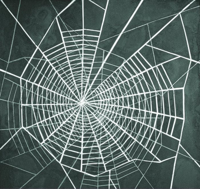 The Web by Phyllis Anna Stevens Estate, Image 2.