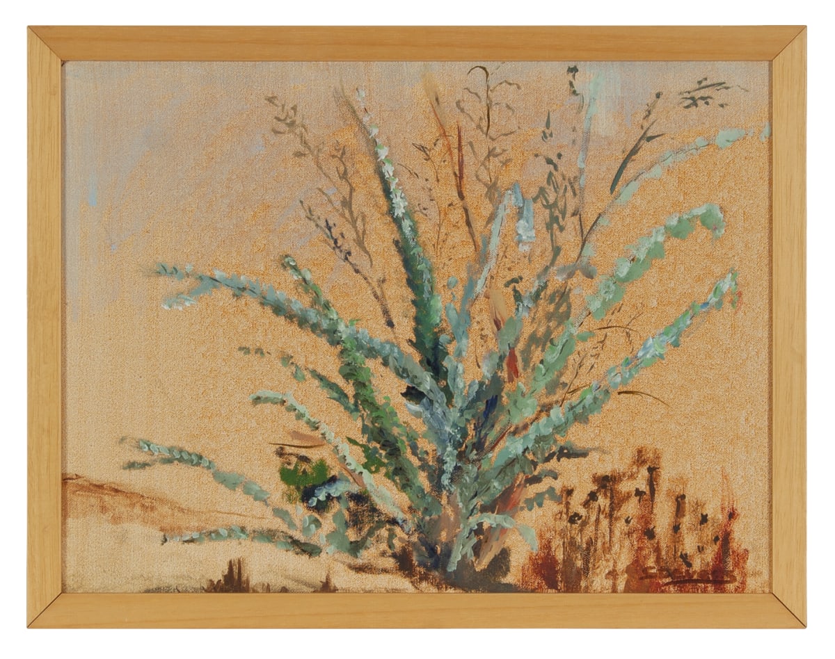 Eucalyptus by Phyllis Stevens 