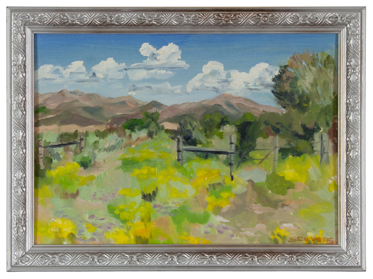 Colorado Landscape by Phyllis Stevens 
