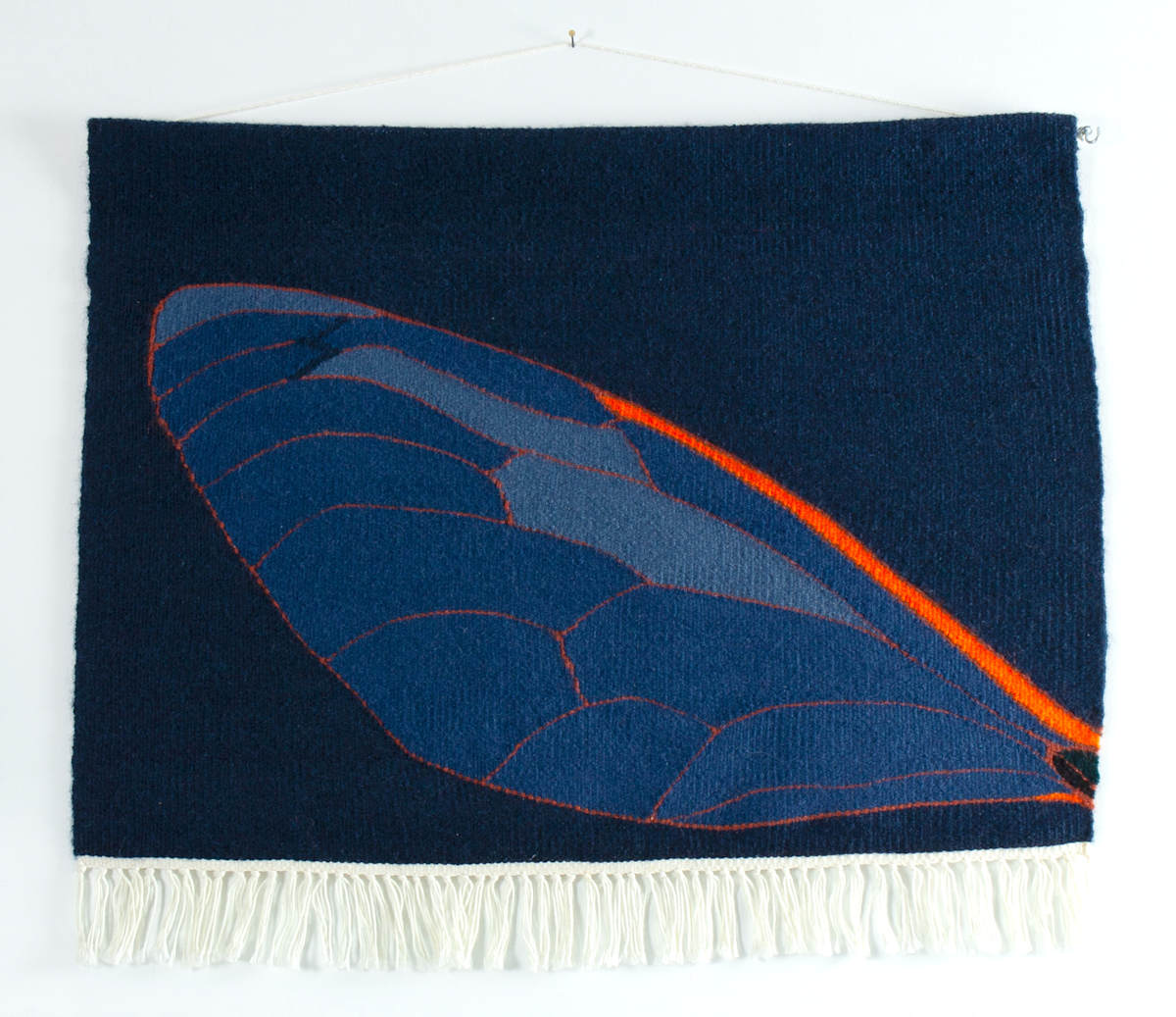 Cicada Wing by Phyllis Anna Stevens Estate, Image 2.
