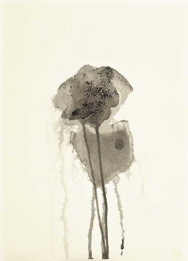 Coal Impression by Mary Lou Dauray, Image 1.