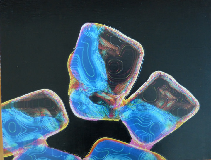 Coal by Mary Lou Dauray 