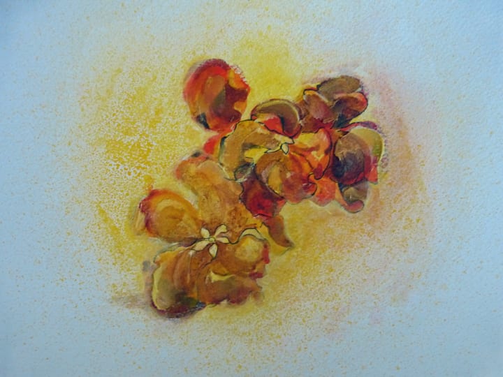 Flower Hawaii 4 by Mary Lou Dauray 