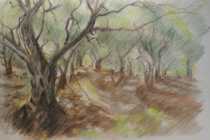 Forest 2 by Mary Lou Dauray 