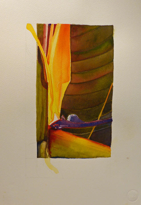 Hawaii Flower 2 by Mary Lou Dauray, Image 1.