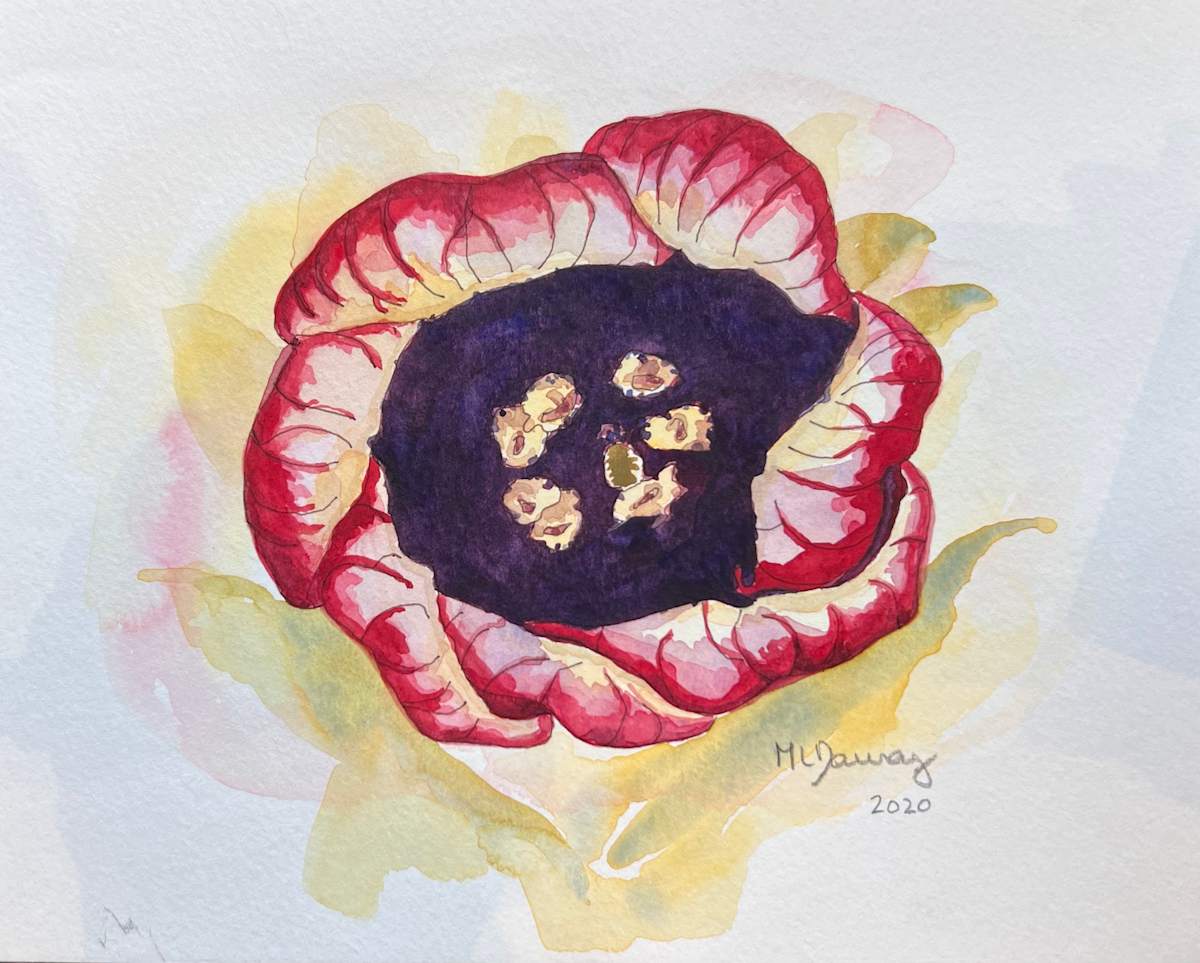 Hawaiian Flower 6 by Mary Lou Dauray 