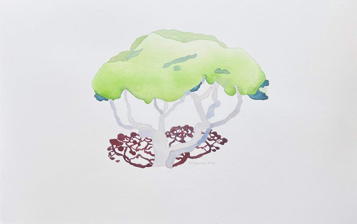 Our Tree by Mary Lou Dauray 