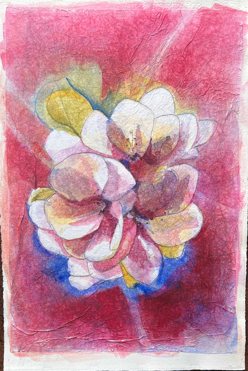 Spring Apple Blossoms by Mary Lou Dauray 