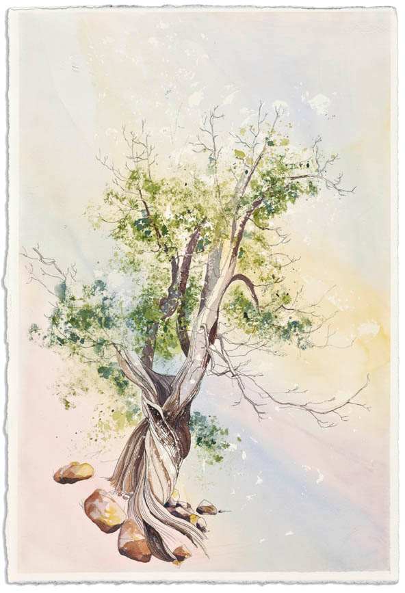 Tree by Mary Lou Dauray, Image 1.