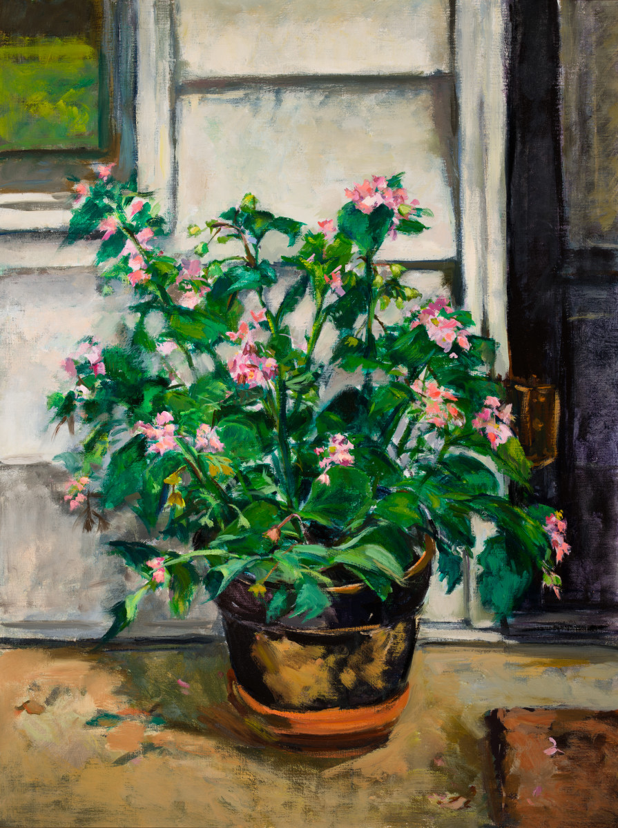 Pink Begonias by Miriam McClung  Image: Pink Begonias. Front. Color correct.