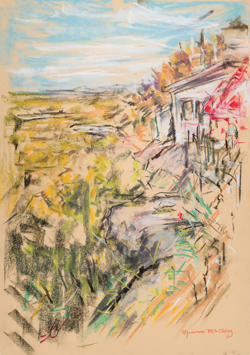 View from the Tip Top Grill, Bluff Park by Miriam McClung 