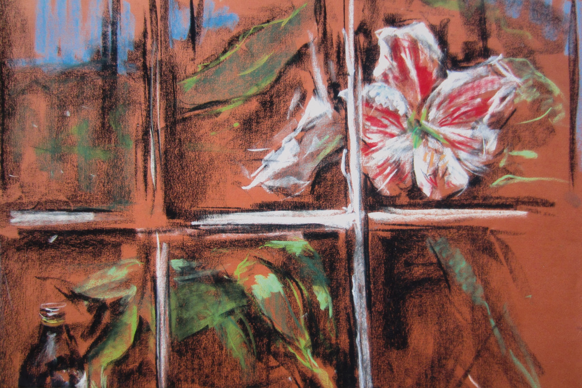 Amarillas in the Studio Window by Miriam McClung 