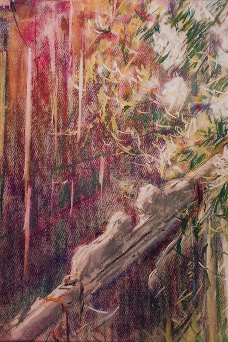 Lions at the Gate by Miriam McClung, Image 1.