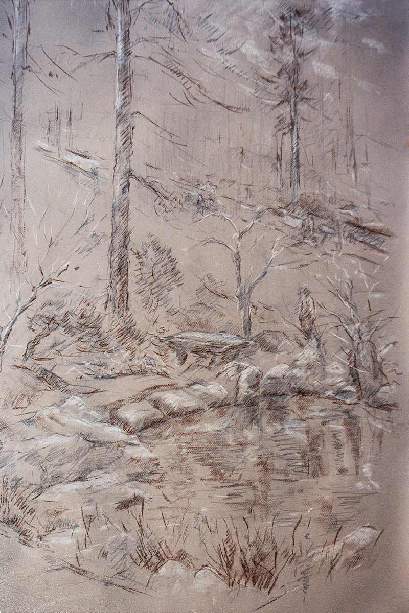 Winter at the Botanical Gardens by Miriam McClung, Image 1.