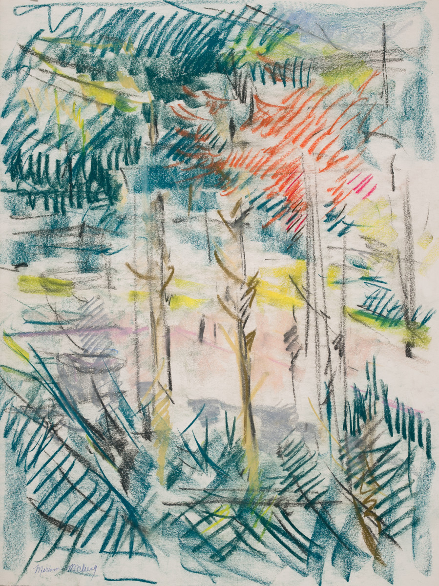 Nature Study by Miriam McClung 