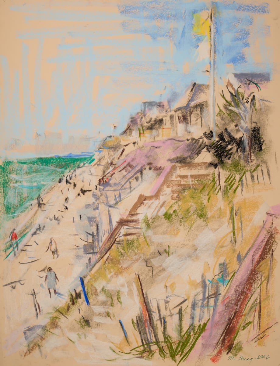 Yellow Flag at Inlet Beach by Miriam McClung, Image 1.