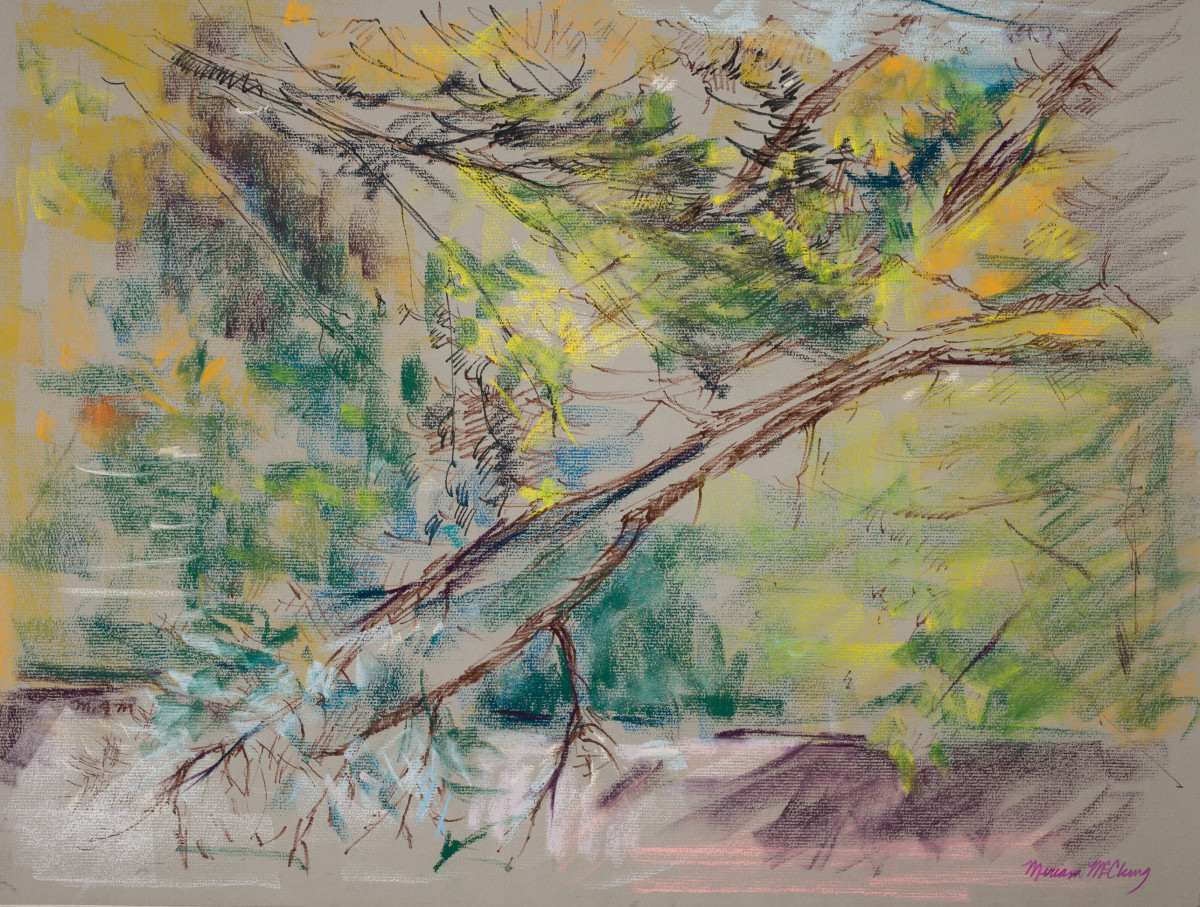 Backyard Study - Branches by Miriam McClung 