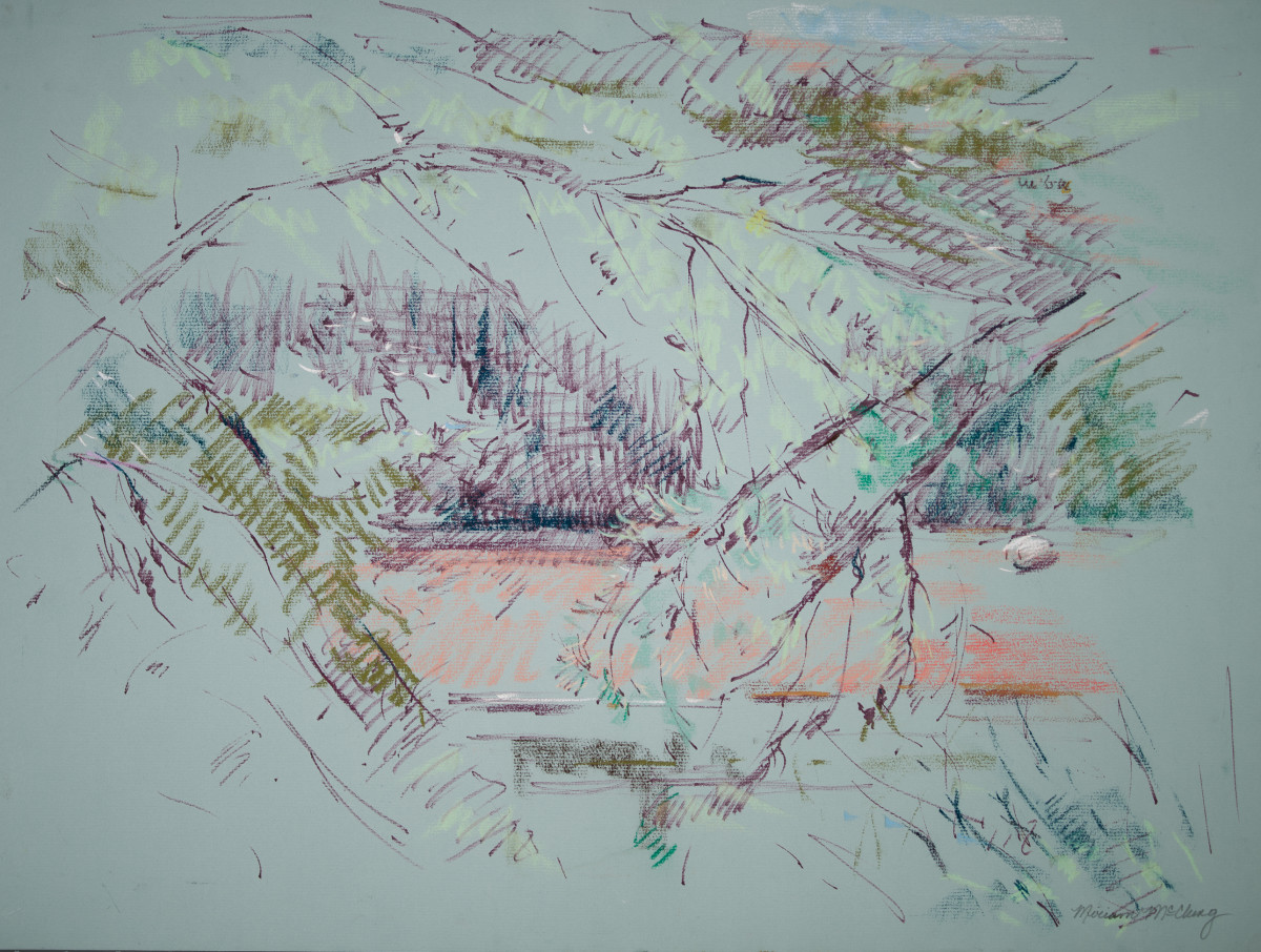 Backyard Study by Miriam McClung, Image 1.