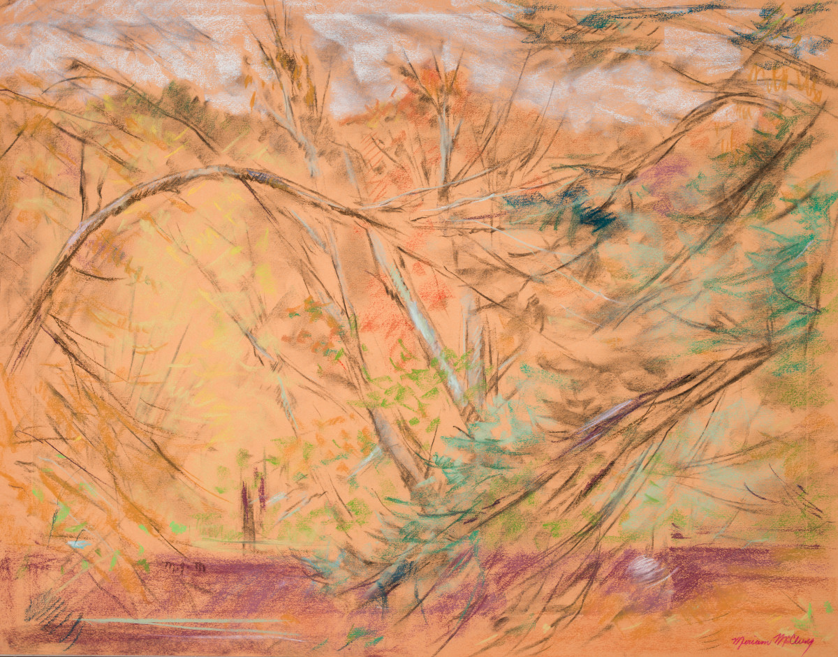 Backyard Study - Fall by Miriam McClung 