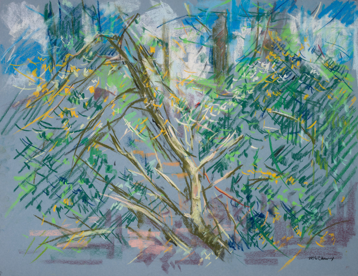 Backyard Study - Morning by Miriam McClung 