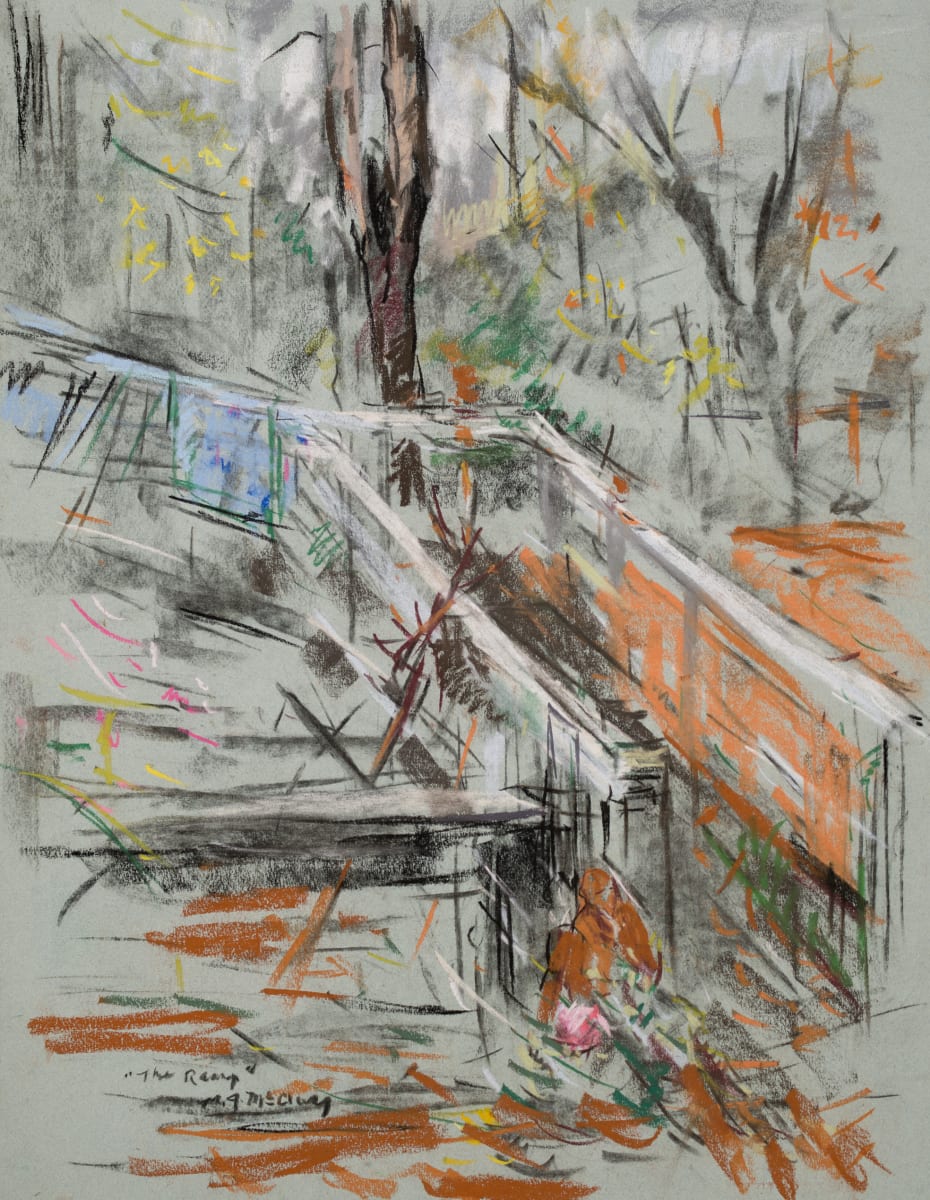 The Backyard Ramp by Miriam McClung, Image 1.
