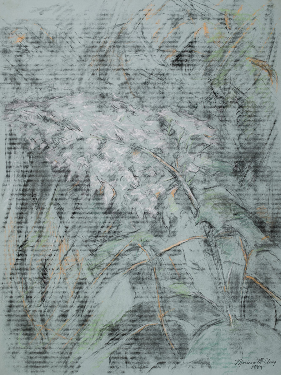 White Hydrangeas 3 by Miriam McClung 