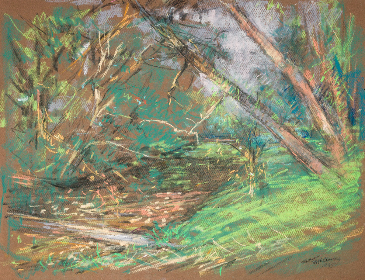 Shades Creek, Birmingham, Alabama by Miriam McClung 