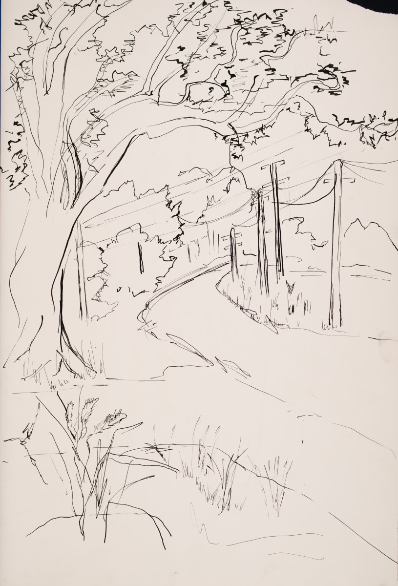 Tree Lined Road by Miriam McClung, Image 98.