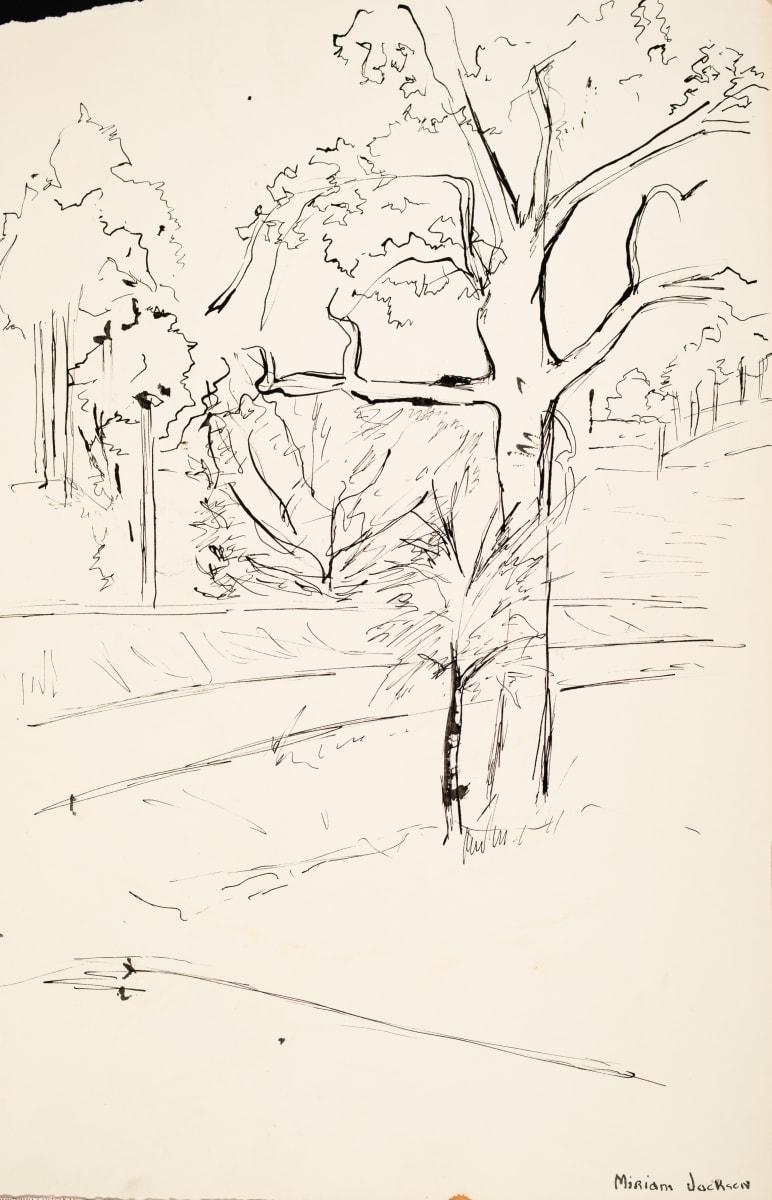 Trees and Road by Miriam McClung, Image 1.