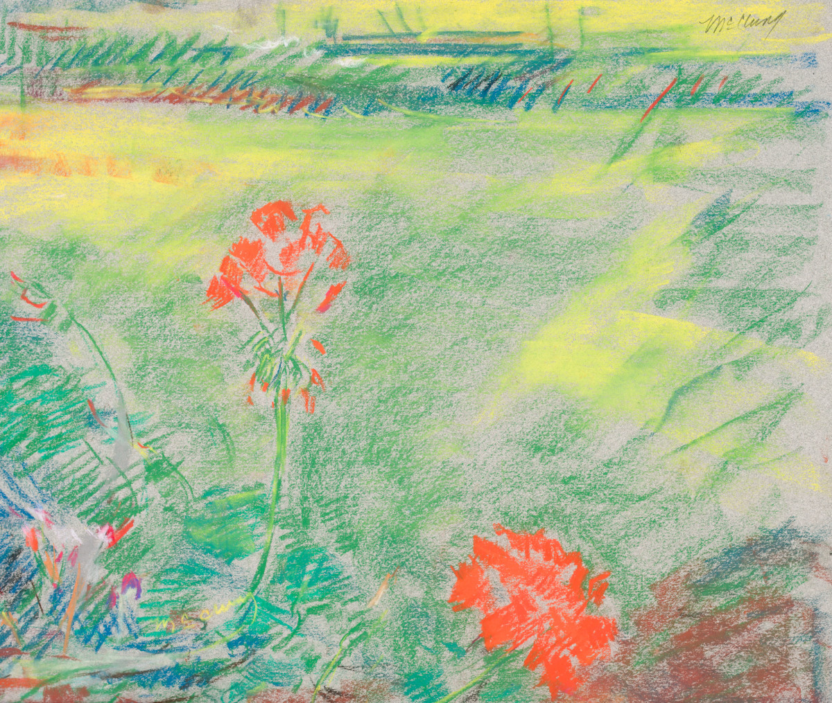 Two Geraniums by Miriam McClung 