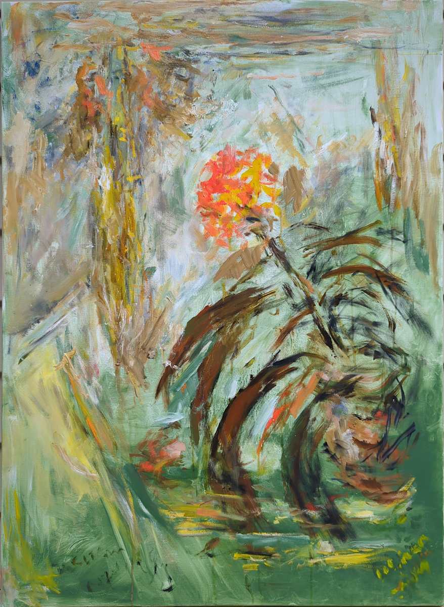 Clivia Flowers by Miriam McClung  Image: Not photographed.