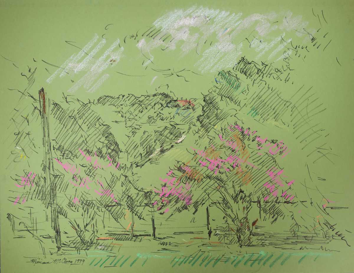 Looking Toward Highland Park with Crepe Myrtle by Miriam McClung 