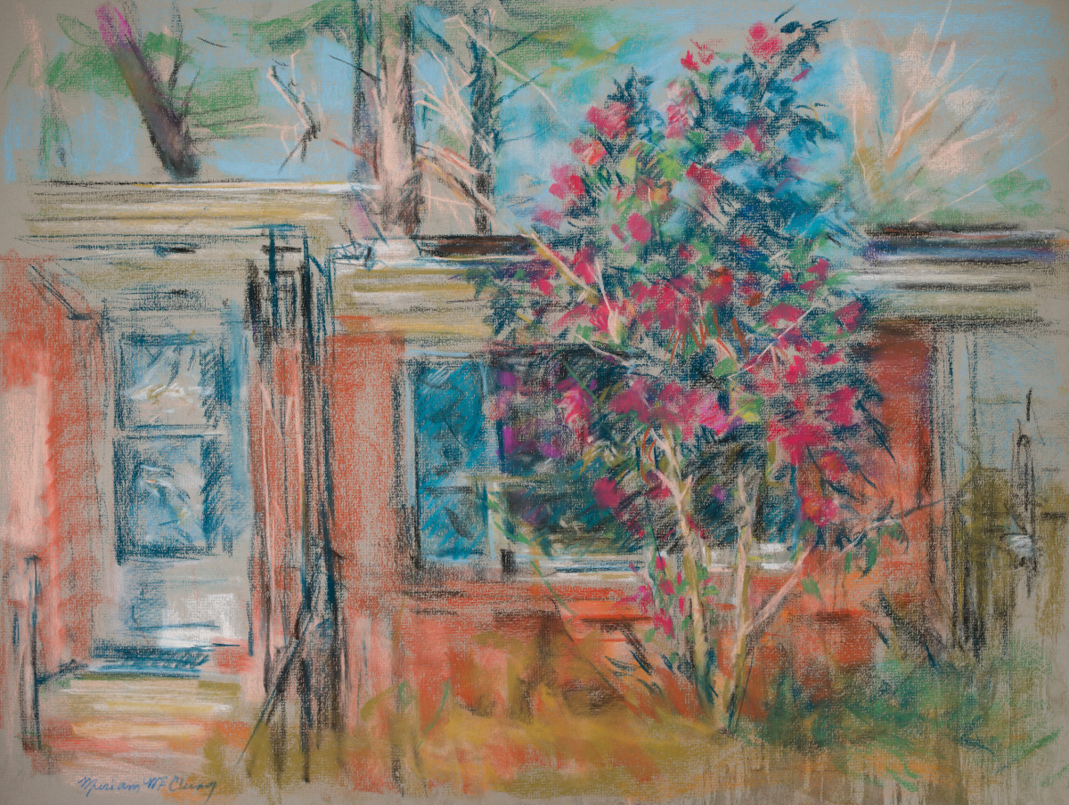 Mrs. Cunningham's Camellia Tree on Warren Road by Miriam McClung 