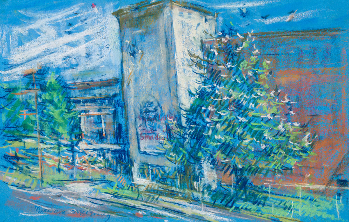 Magnolia Tree at Shades Valley High School in Birmingham, Alabama by Miriam McClung 