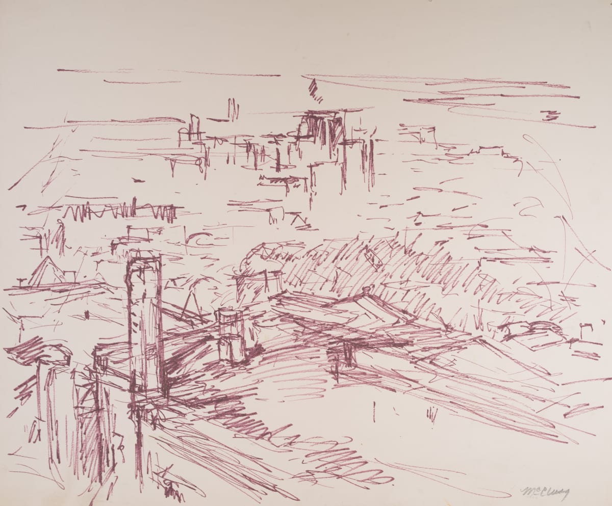 View from Forest Park of Downtown Birmingham, Alabama by Miriam McClung, Image 9.
