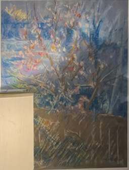 Mimosa by Miriam McClung, Image 2.