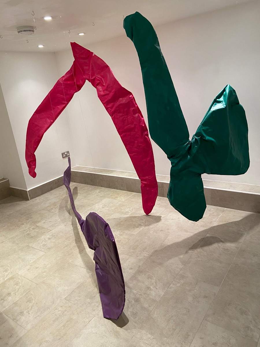 Expansion by Emma Coyle 