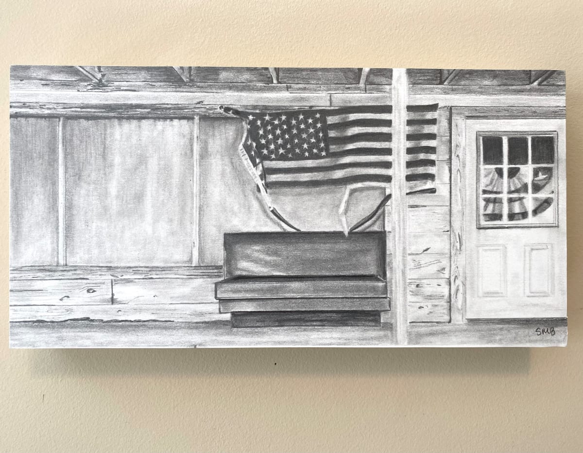America by Shana Bowes 